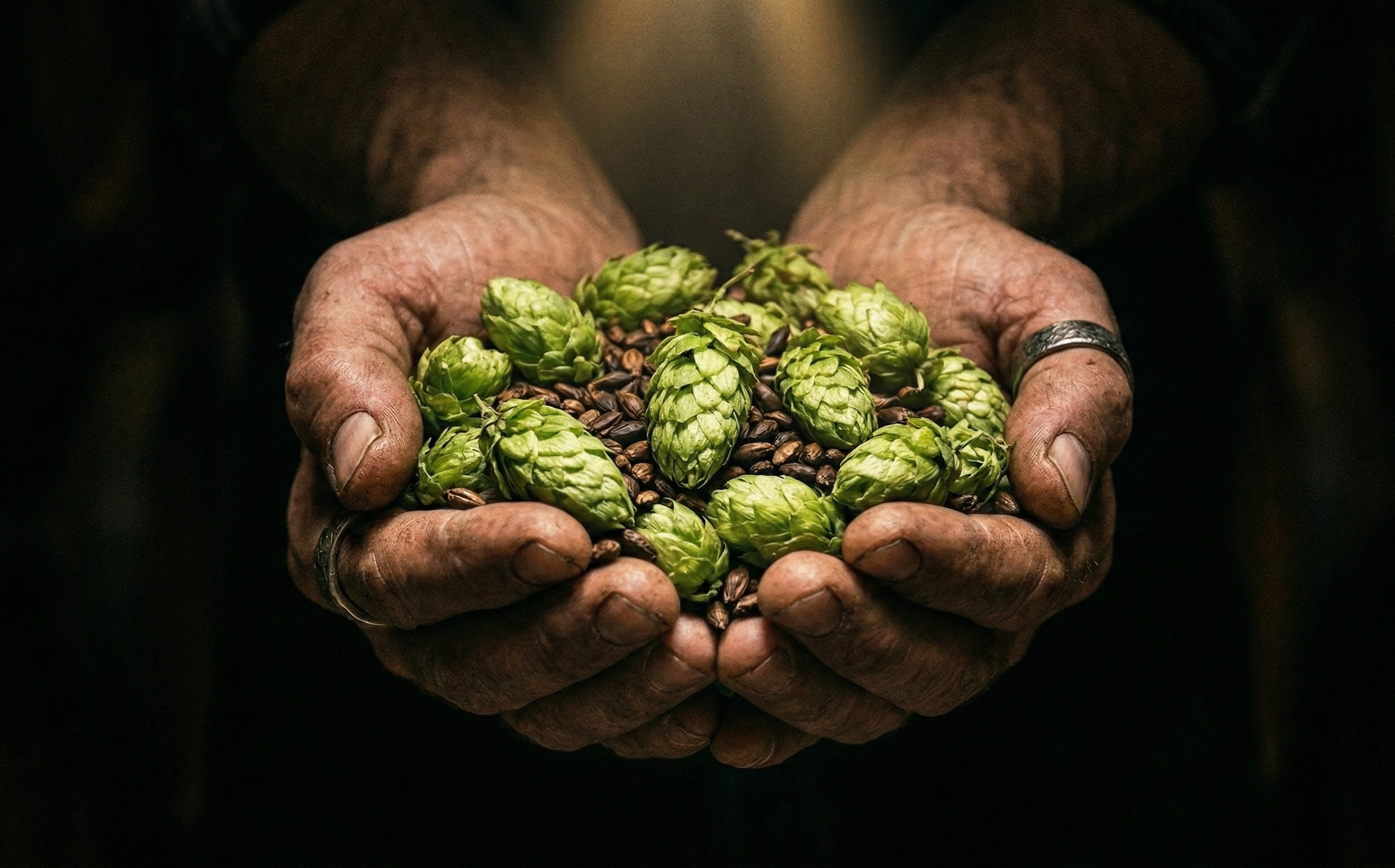 Dłonie trzymające szyszki chmielu i ziarna słodu